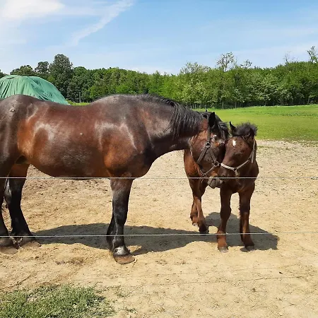 B&B Hartmann Panzio 3*